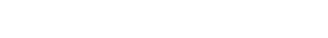 广汽本田汽车有限公司旗下飞度